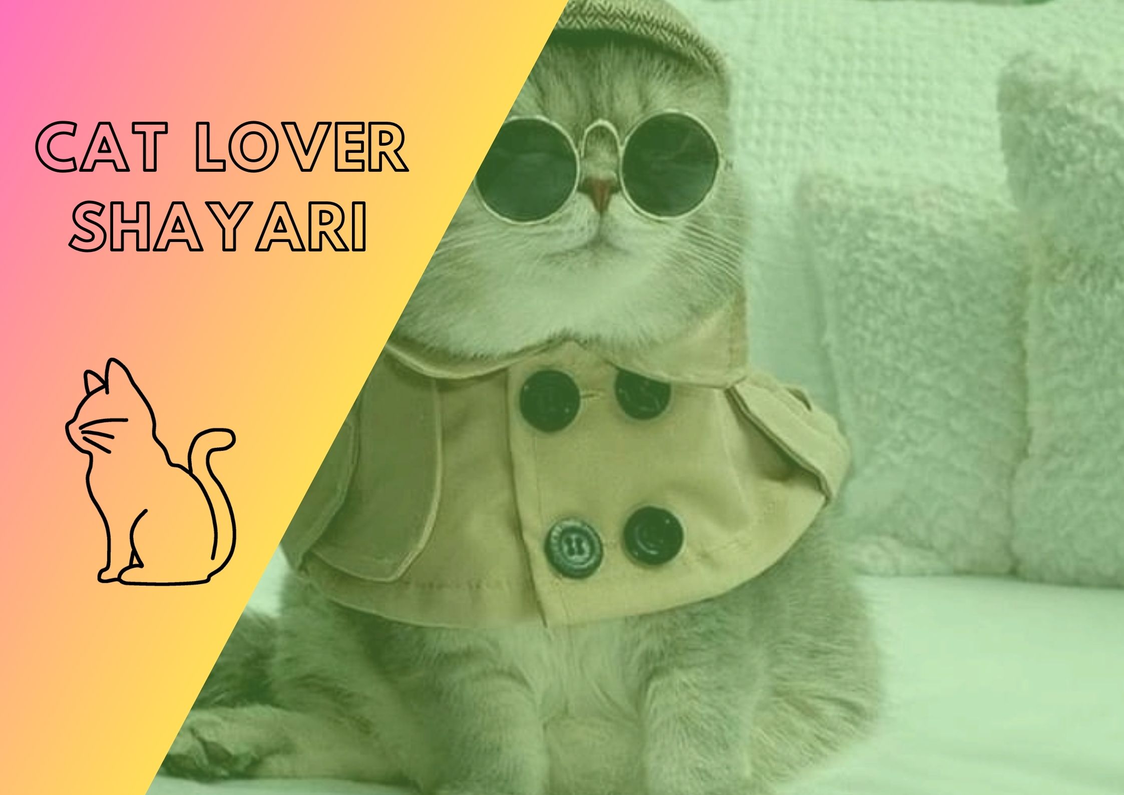 100+ Cat Lover Shayari in Hindi