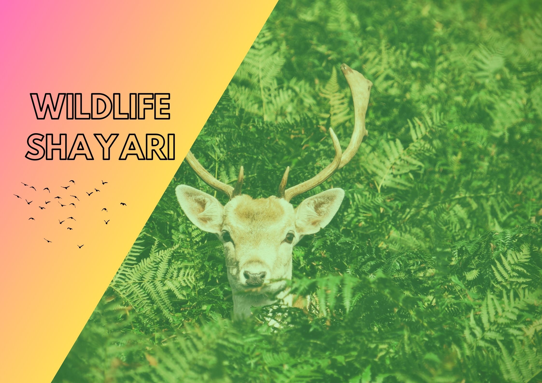 100+ Wildlife Shayari in Hindi