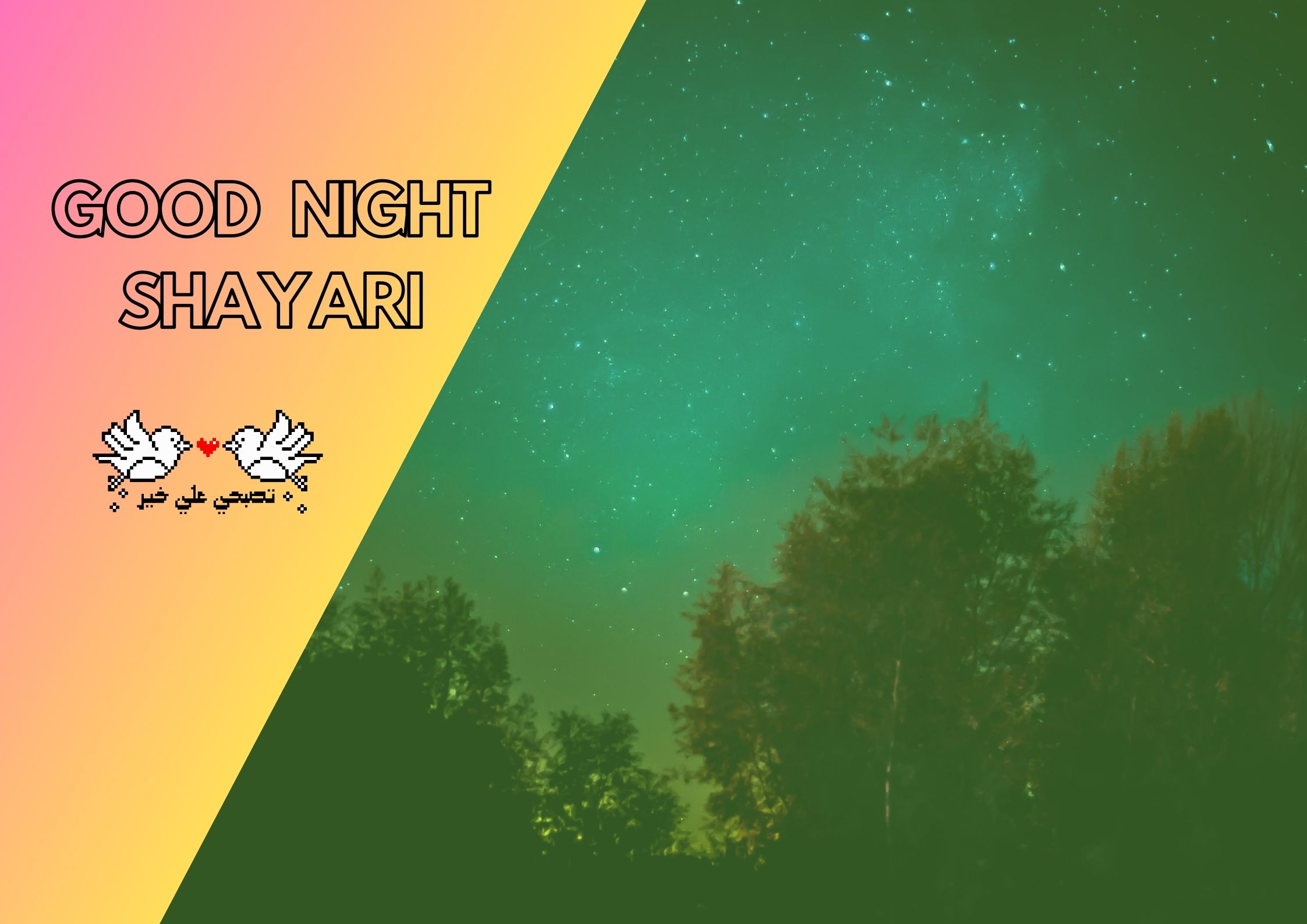 100+ Best Good Night Shayari In Hindi 2024 | खुबसूरत शुभ रात्रि शायरी हिंदी में