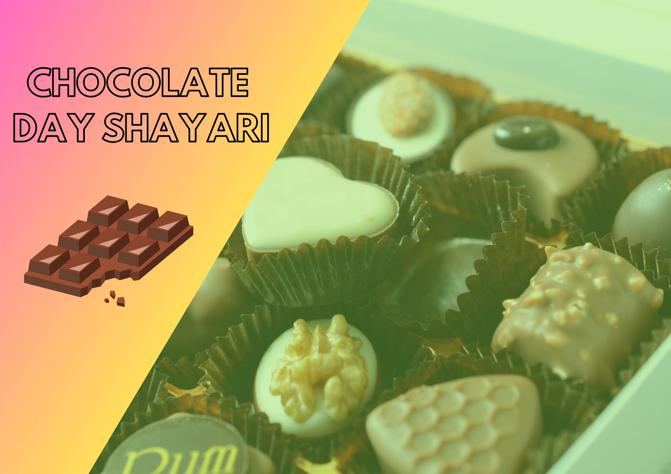 100+ Chocolate Day Shayari in Hindi For Girlfriend |चॉकलेट डे शायरी