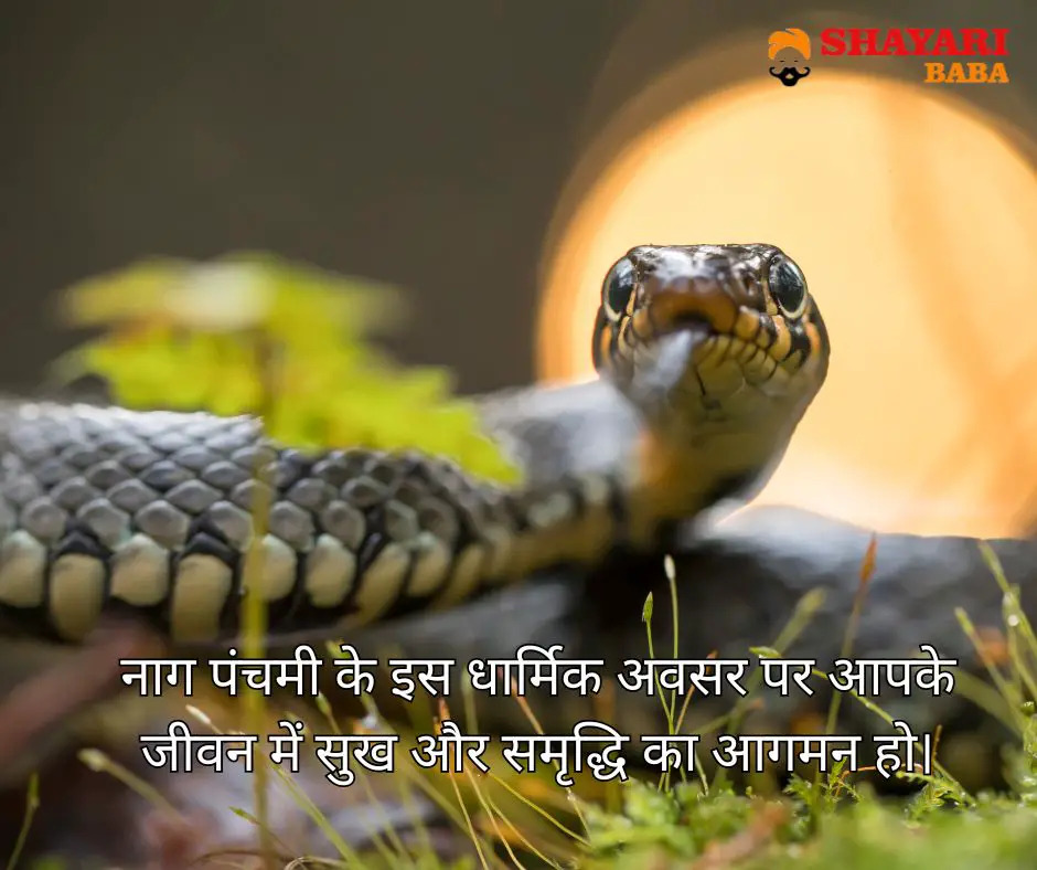 Nag Panchami Quotes