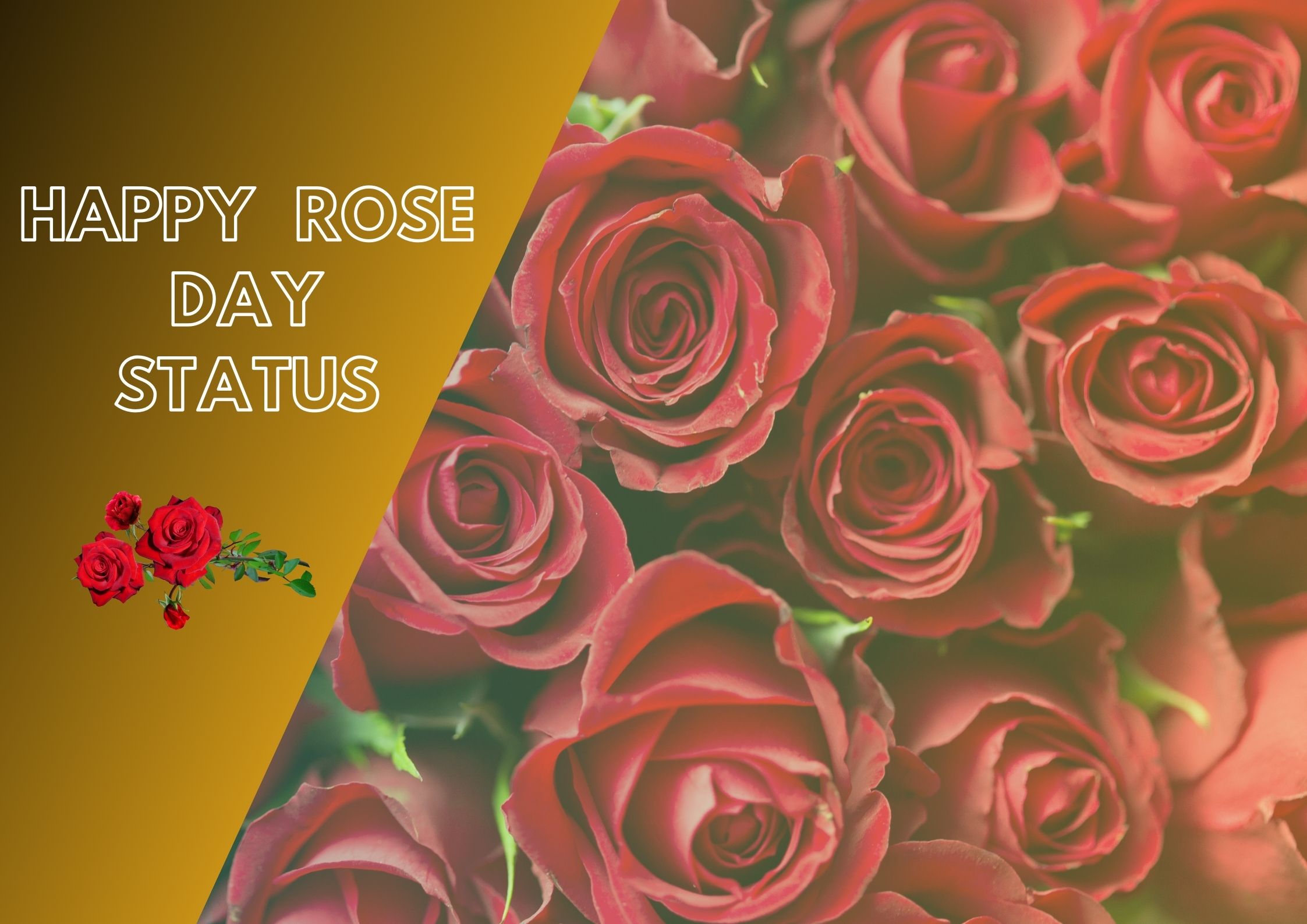 Happy Rose Day 2024 Status