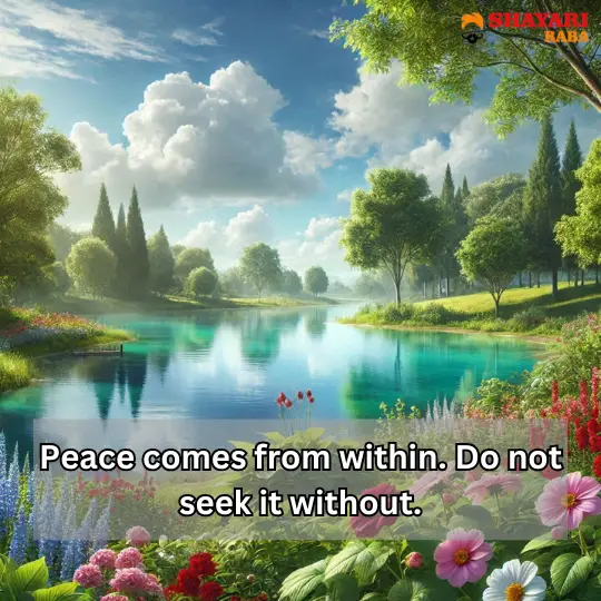 Peace Quotes