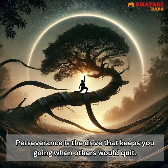 Perseverance quotes