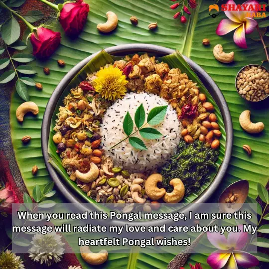 Pongal Wishes