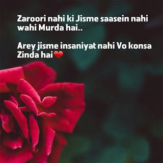 Insaniyat Shayari