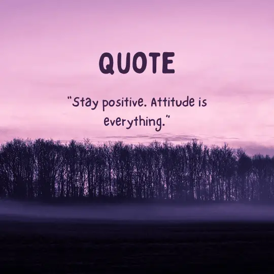 Attitude
