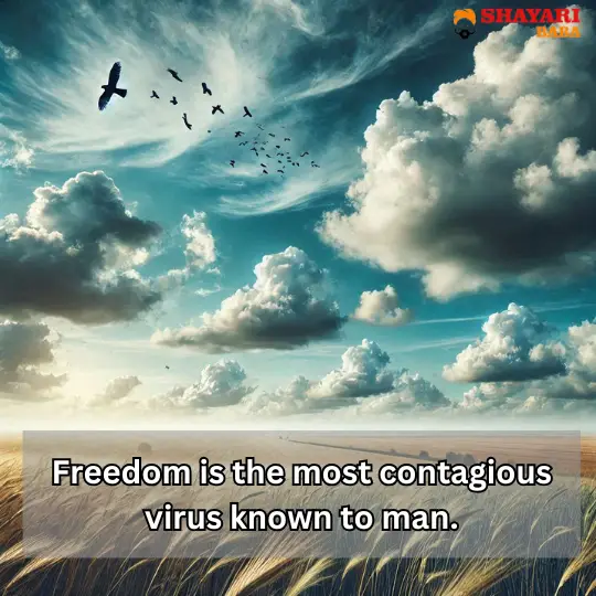 Freedom Quotes