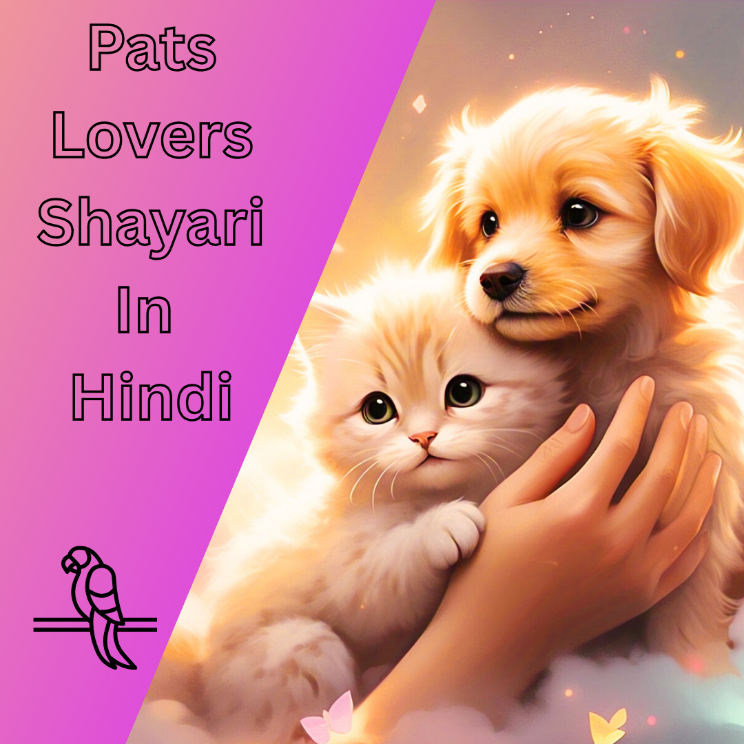 100+ Best Pats Lovers Shayari In Hindi